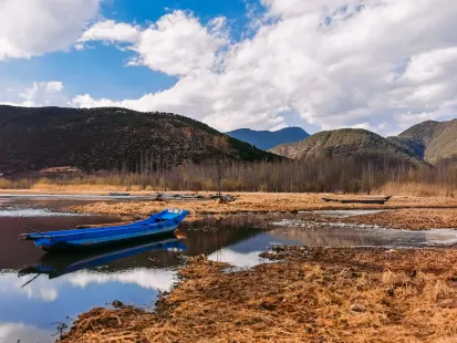 Bobby Casino Application mobile